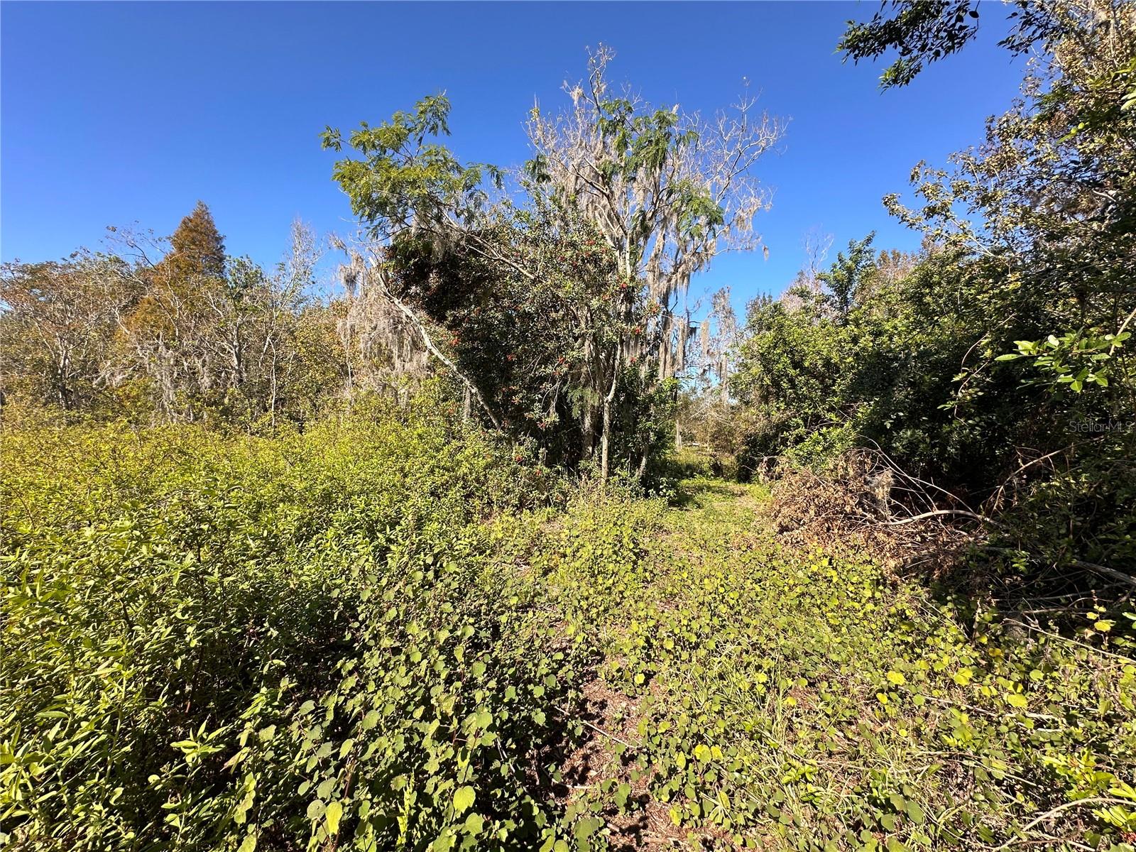 State Road 60 Property Photo 11