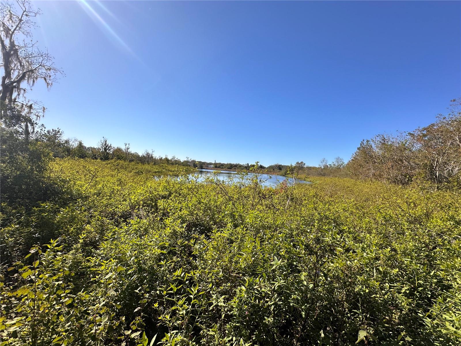 State Road 60 Property Photo 14