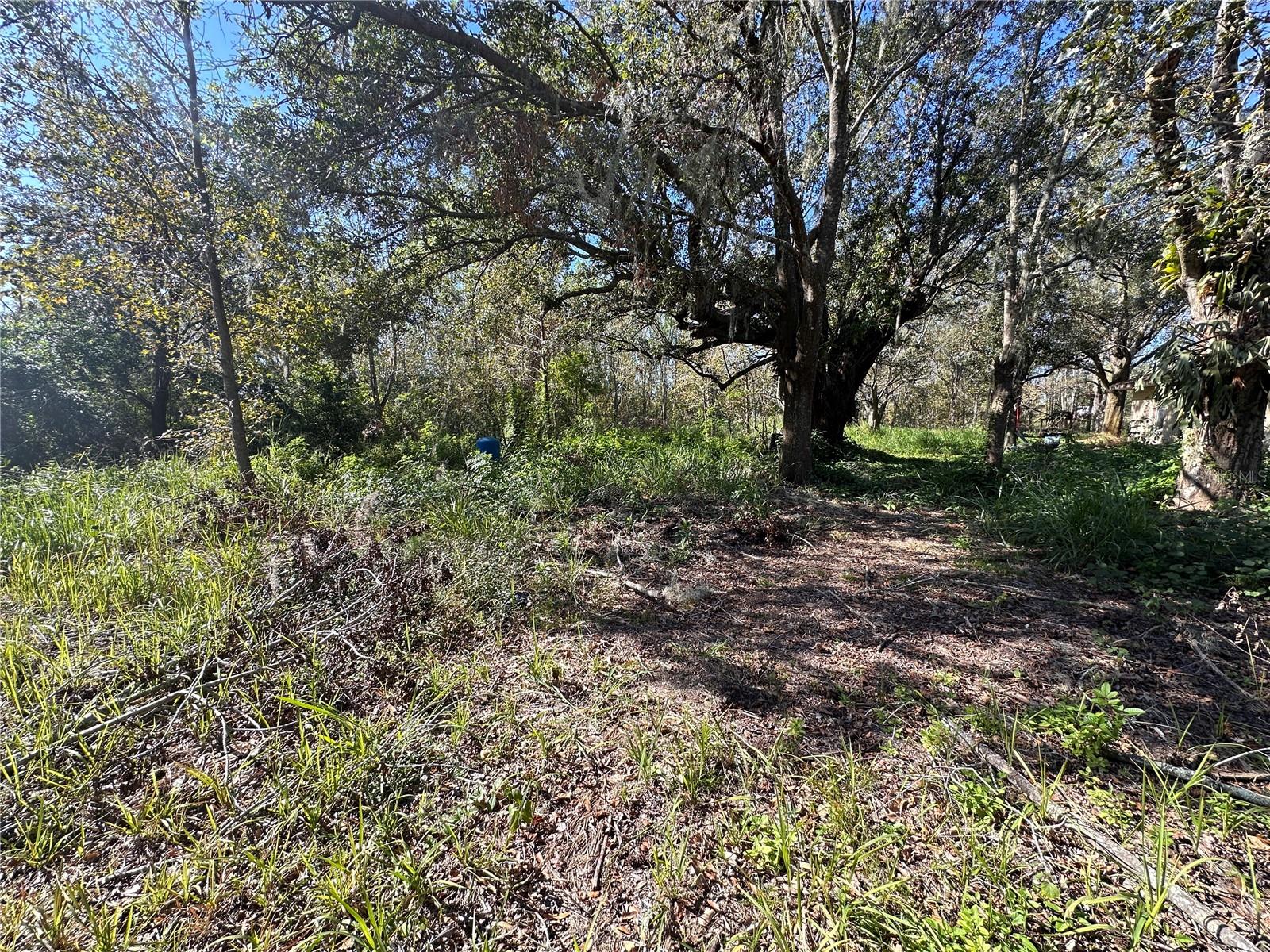 State Road 60 Property Photo 18