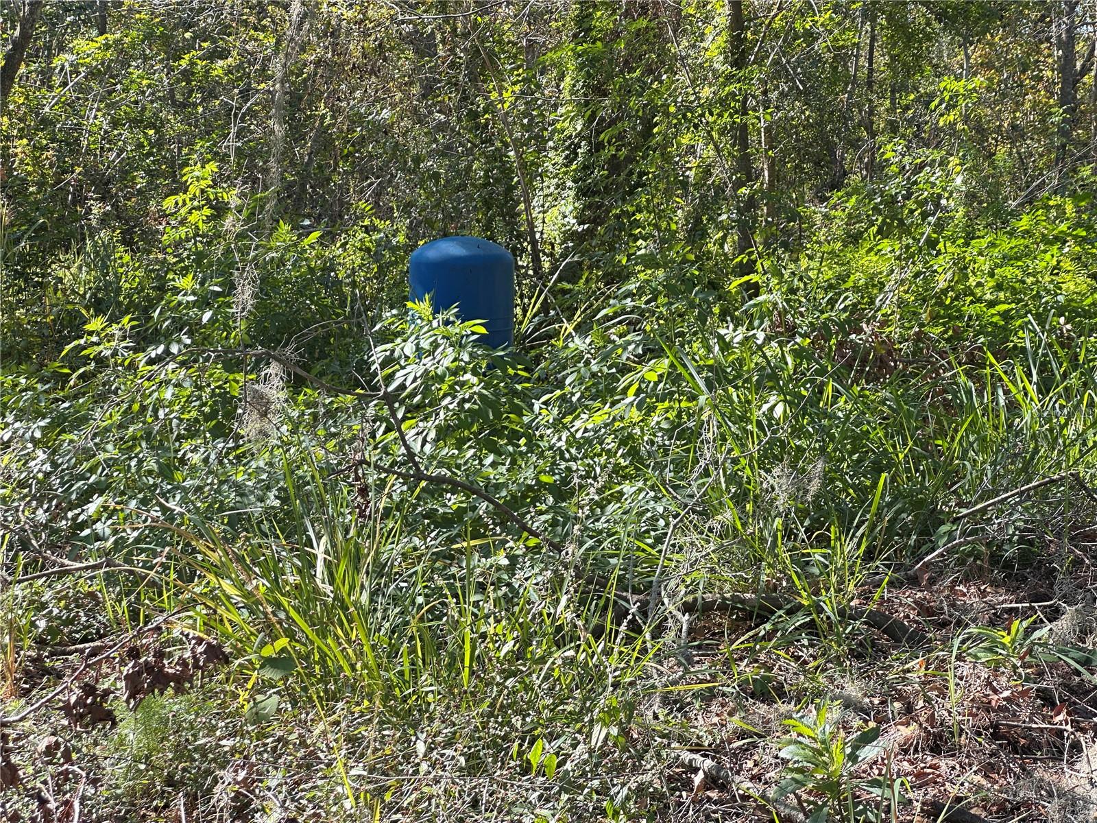 State Road 60 Property Photo 25