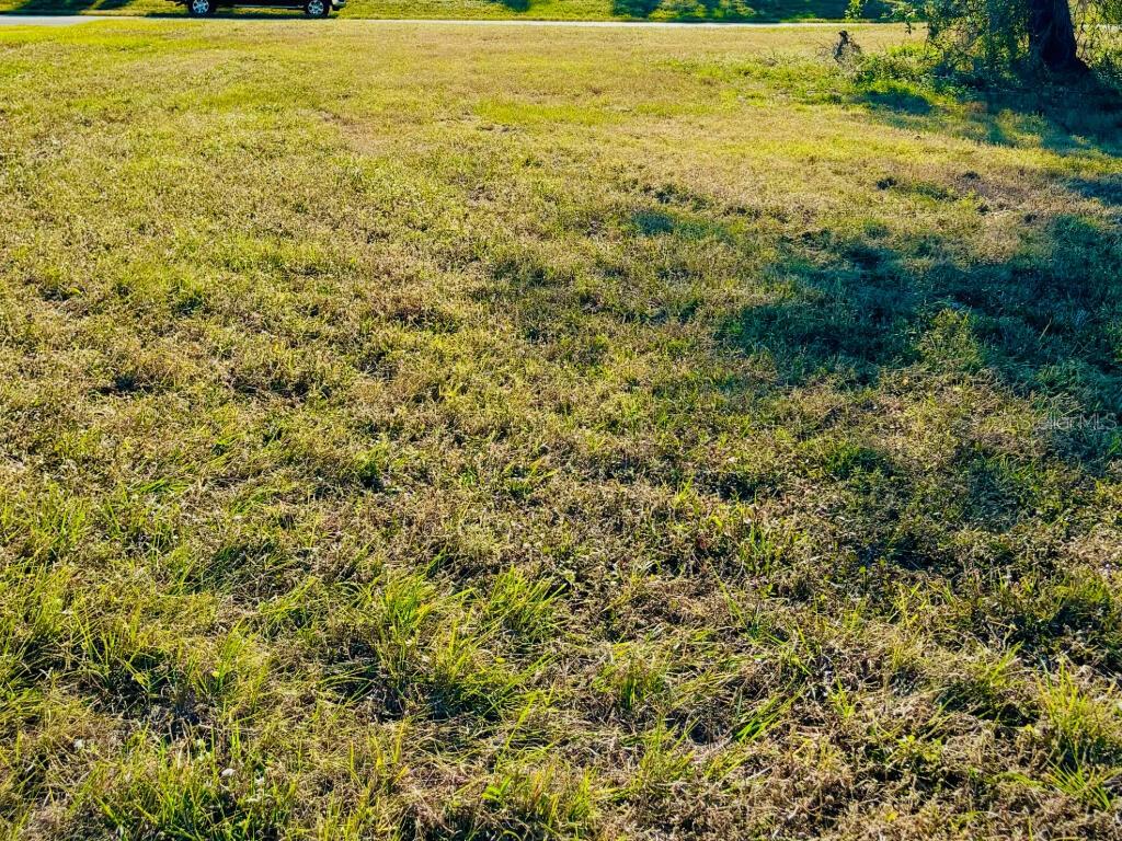 683 Rotonda Cir Property Photo 11