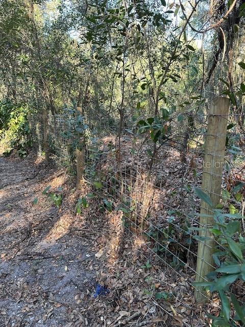 1918 Mountain Lake Cutoff Rd Property Photo 32