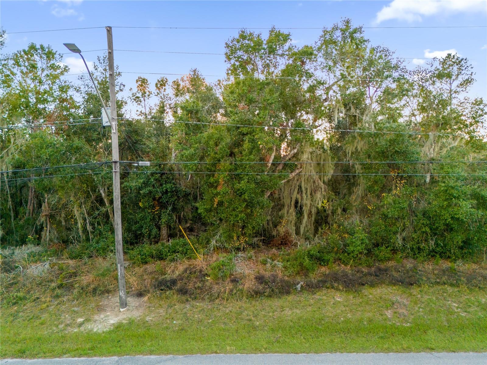 1785 Doyle Rd Property Photo 4