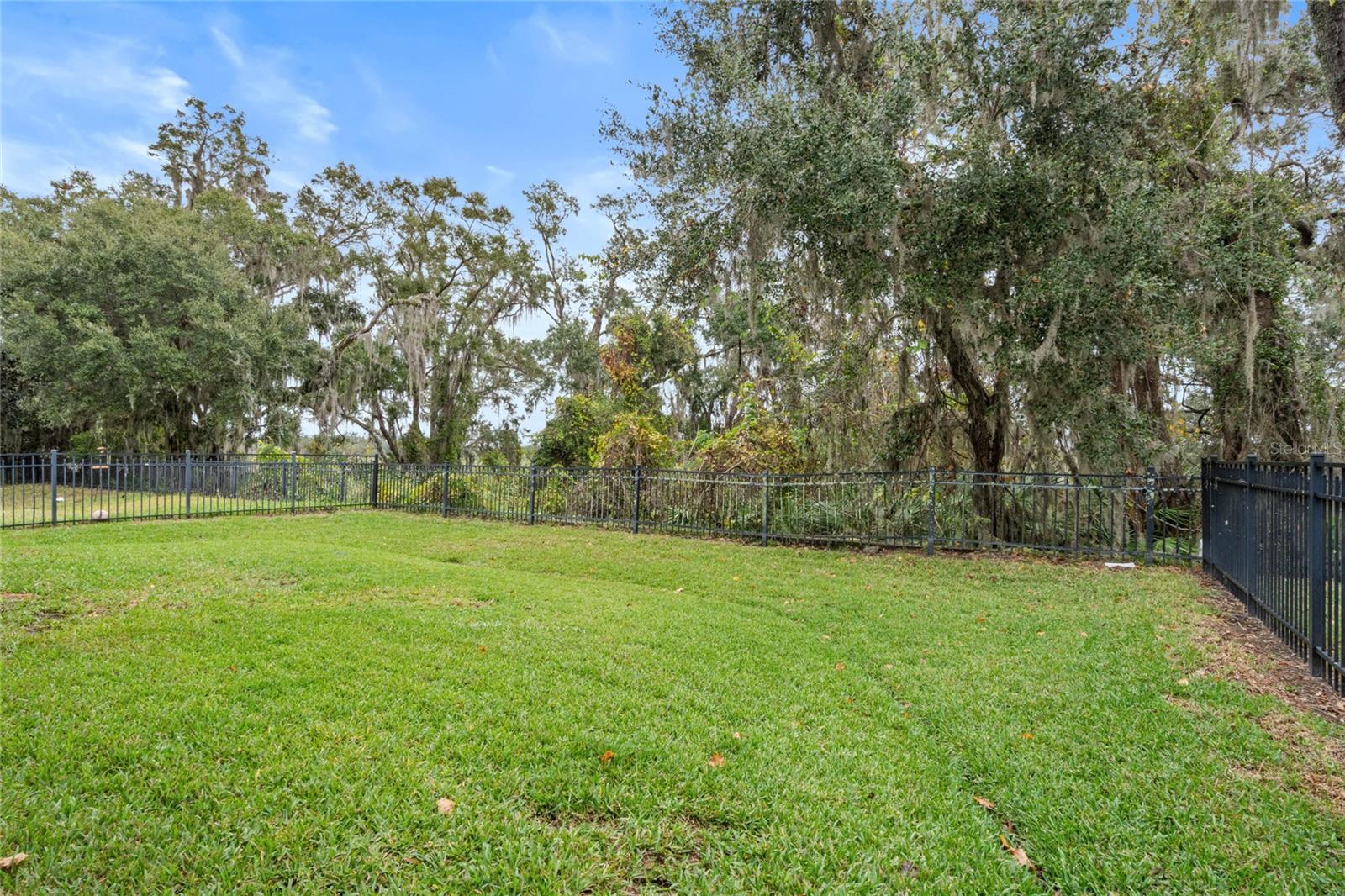 2806 Balforn Tower Way Property Photo 37