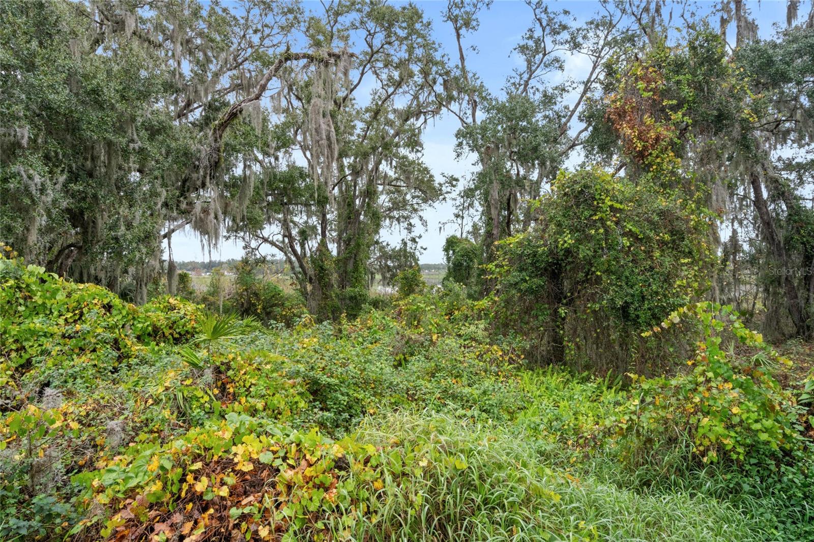 2806 Balforn Tower Way Property Photo 39