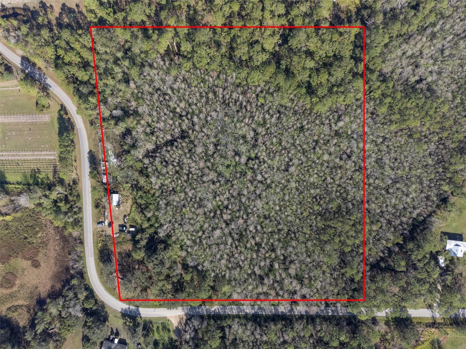 0 Florida Boys Ranch Rd Property Photo 2