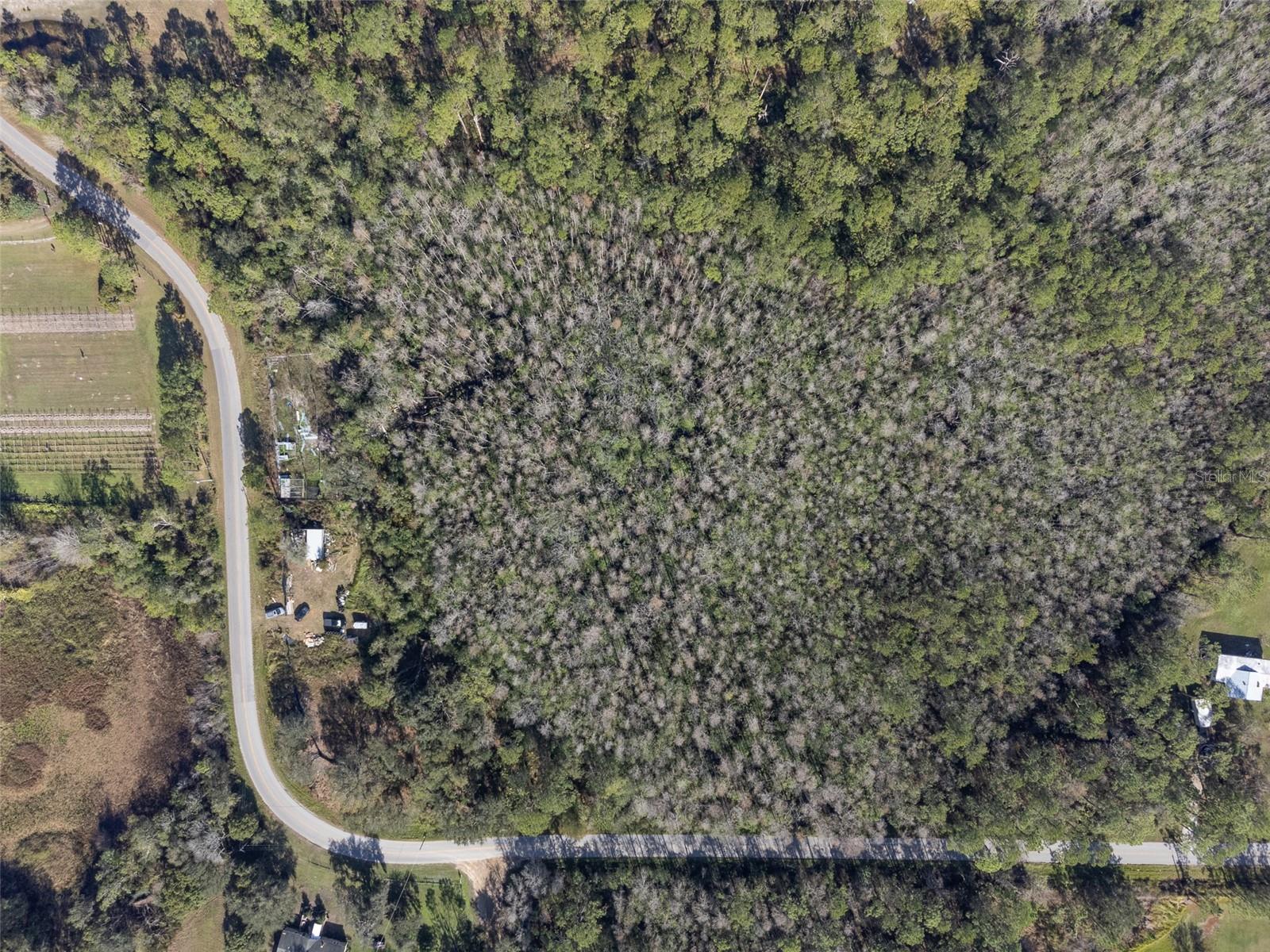 0 Florida Boys Ranch Rd Property Photo 4