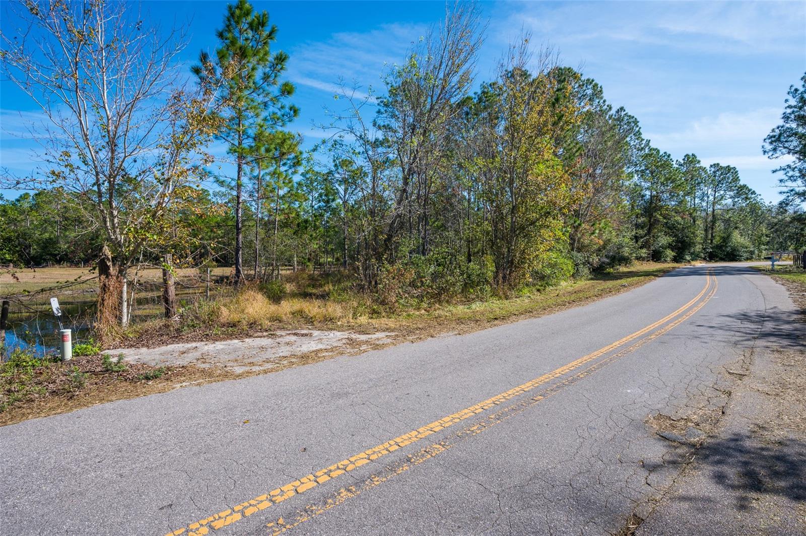 0 Florida Boys Ranch Rd Property Photo 6