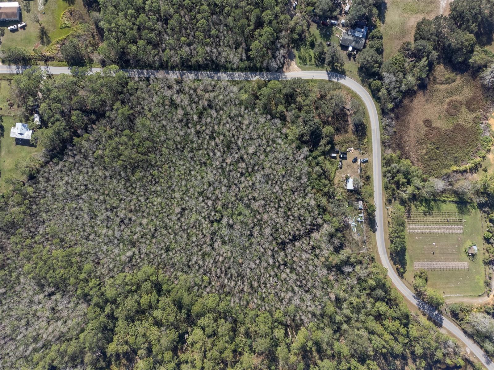 0 Florida Boys Ranch Rd Property Photo 7