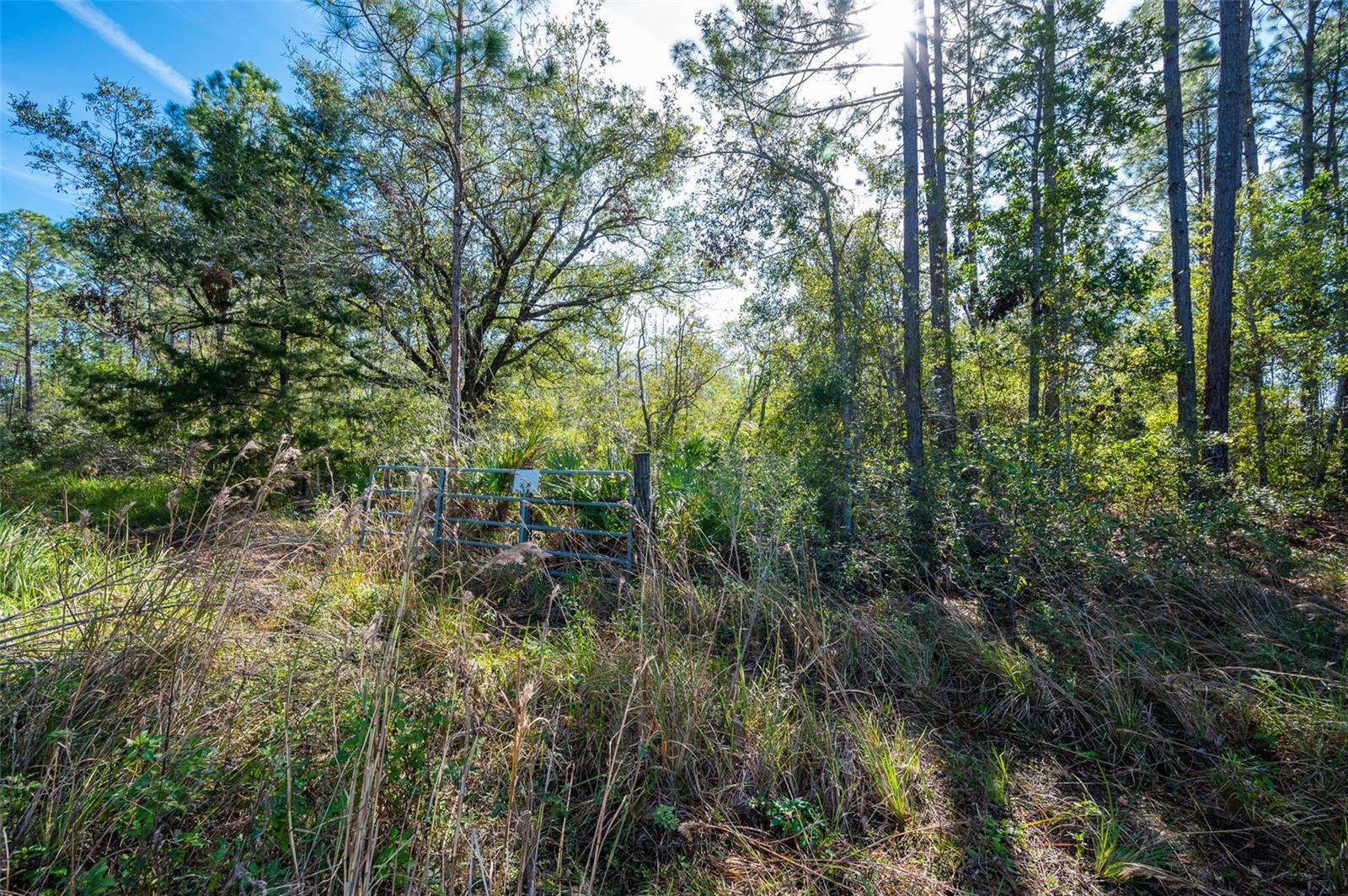 0 Florida Boys Ranch Rd Property Photo 8