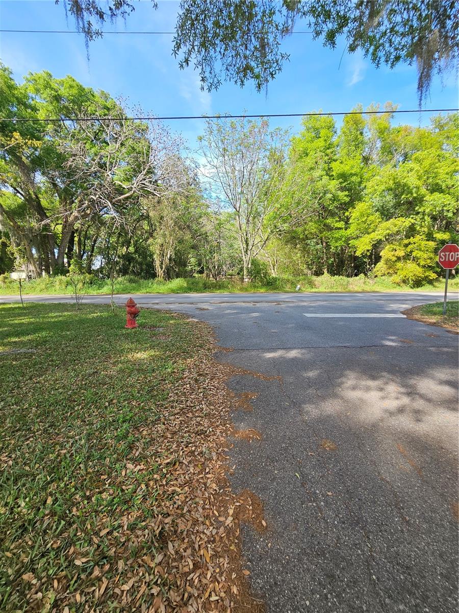 1603 Pine Ridge Dairy Rd Property Photo 4