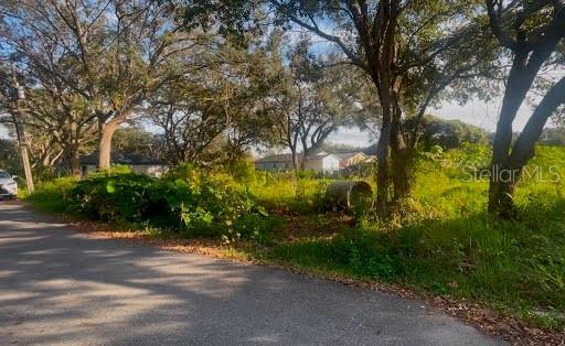14718 Micah St Property Photo 3