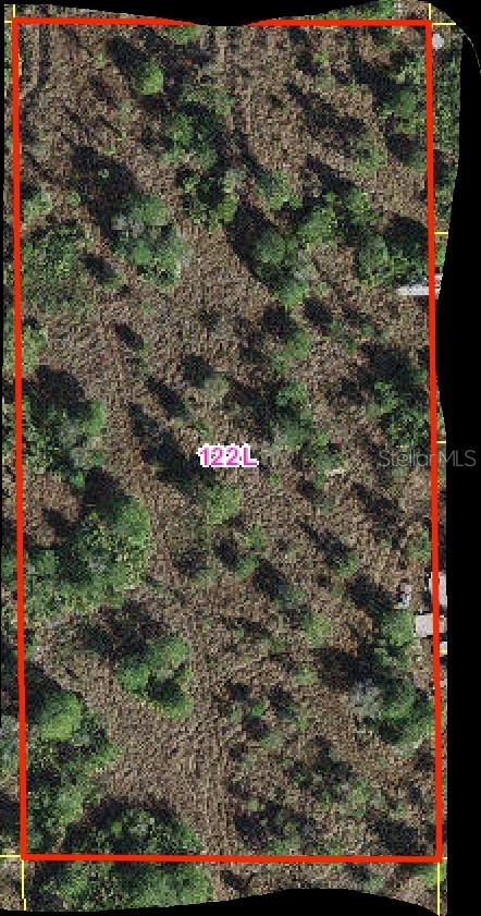 Holopaw Groves Rd Property Photo 1