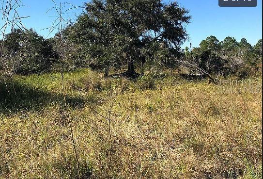 Hwy 60 E Property Photo 2