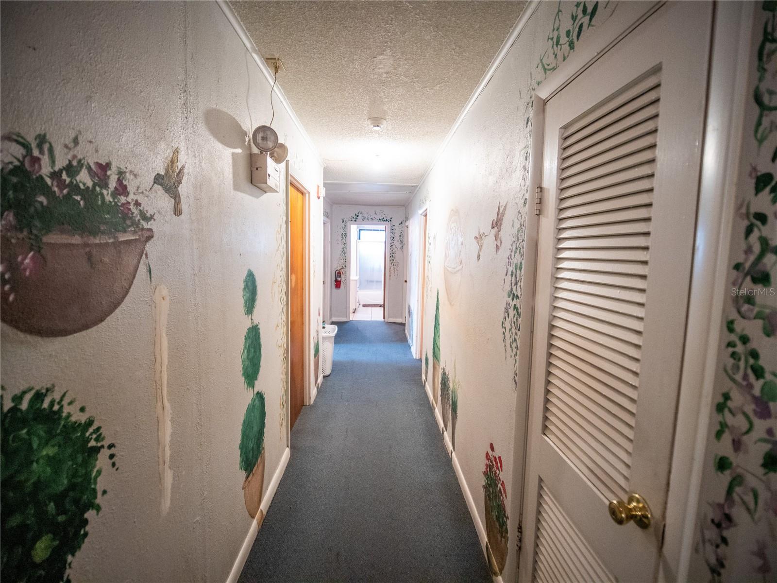 38906 North Ave Property Photo 27