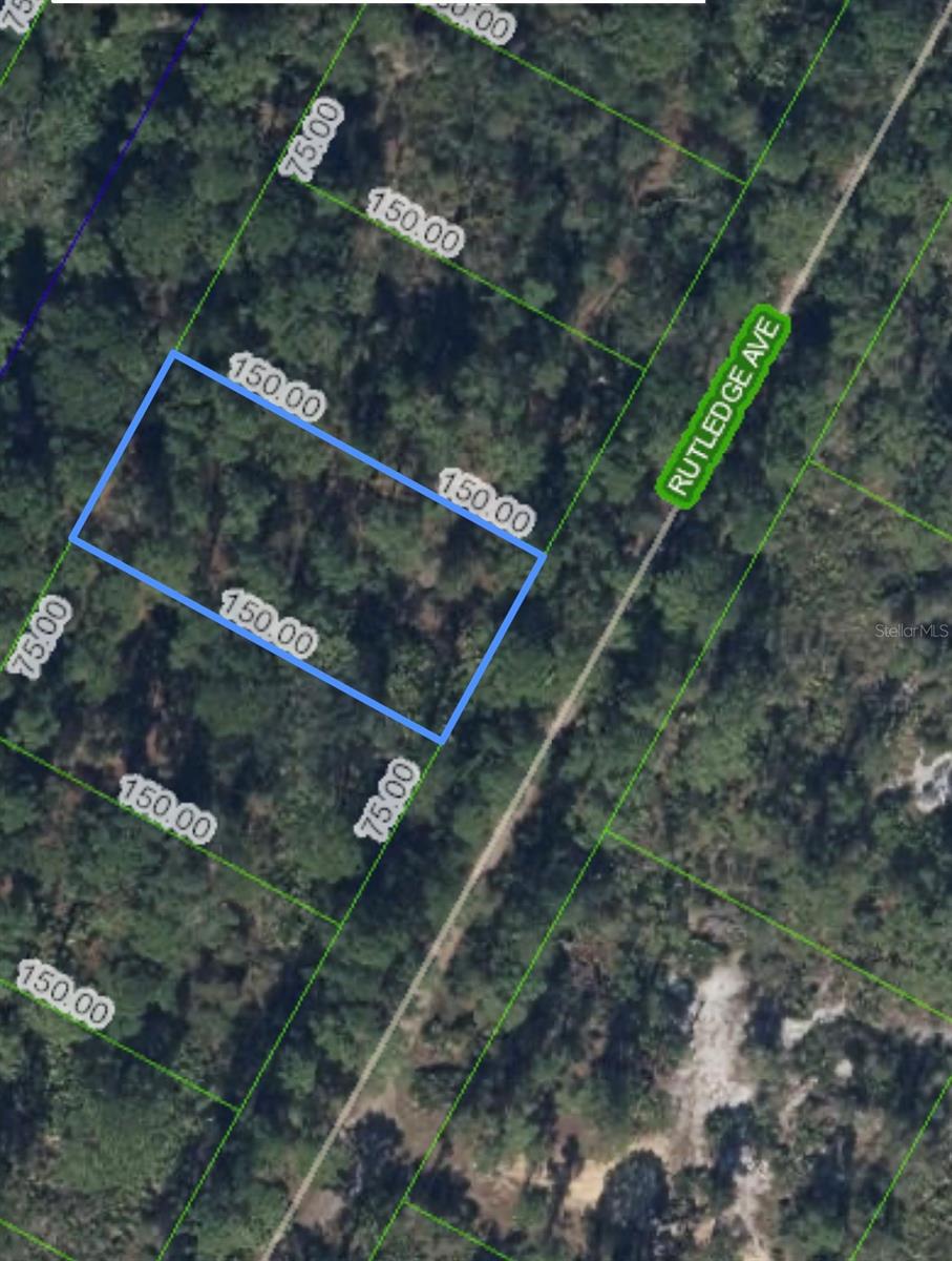 1408 Rutledge Ave Property Photo 3