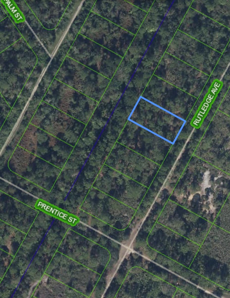 1408 Rutledge Ave Property Photo 4