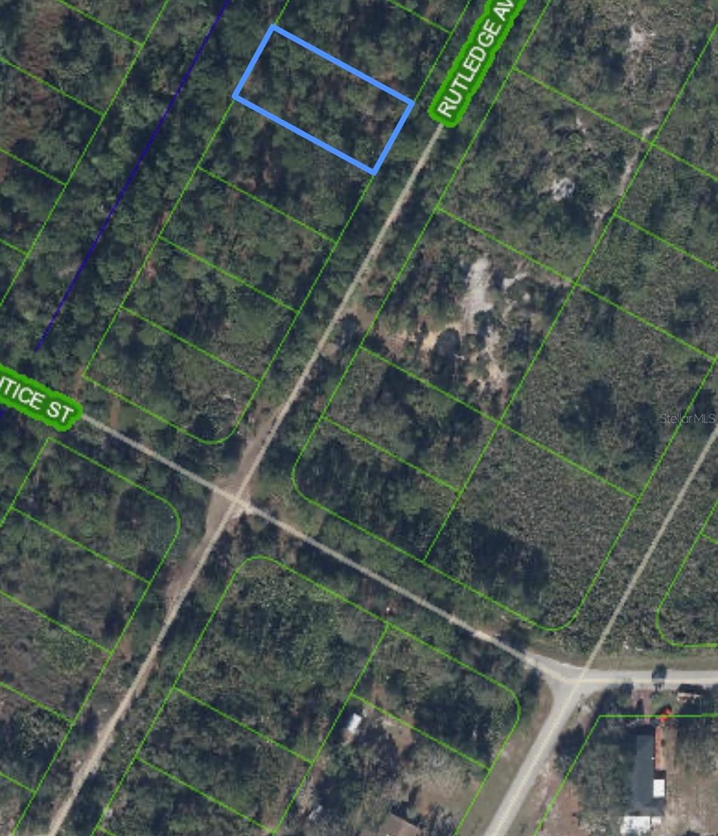 1408 Rutledge Ave Property Photo 5