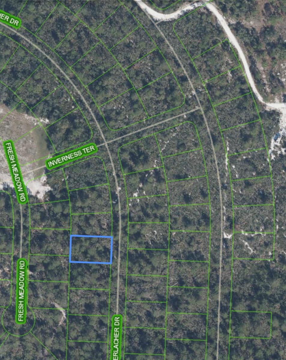 10640 Interlacher Dr Property Photo 3