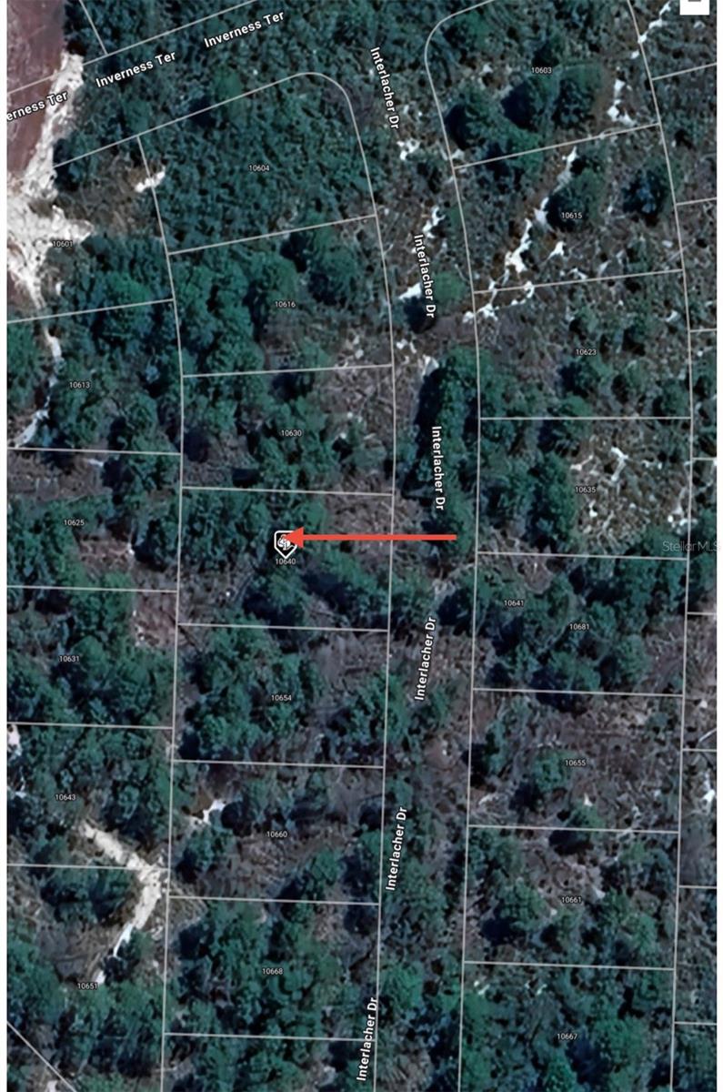 10640 Interlacher Dr Property Photo 7