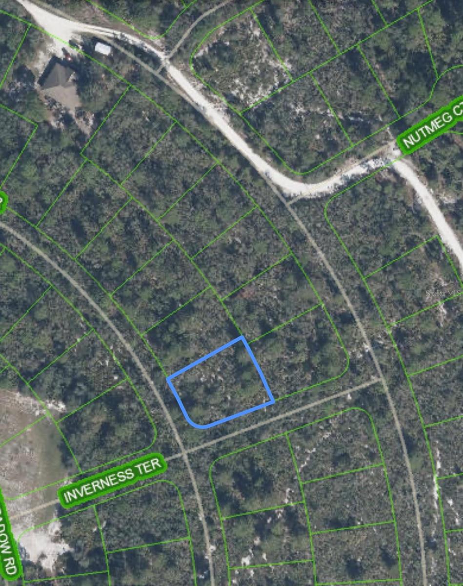 10581 Interlacher Dr Property Photo 3