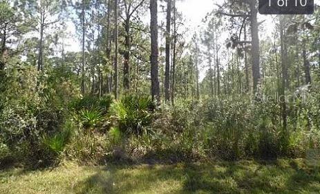 Hwy 60 E Property Photo 2