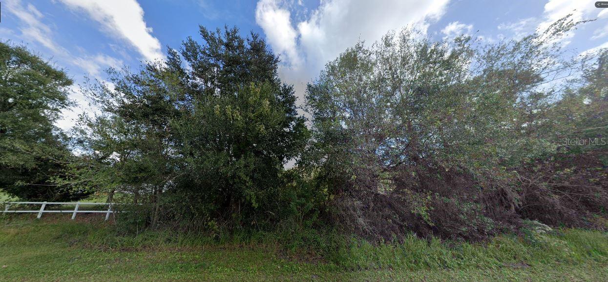 Tall Pine Rd Property Photo 2