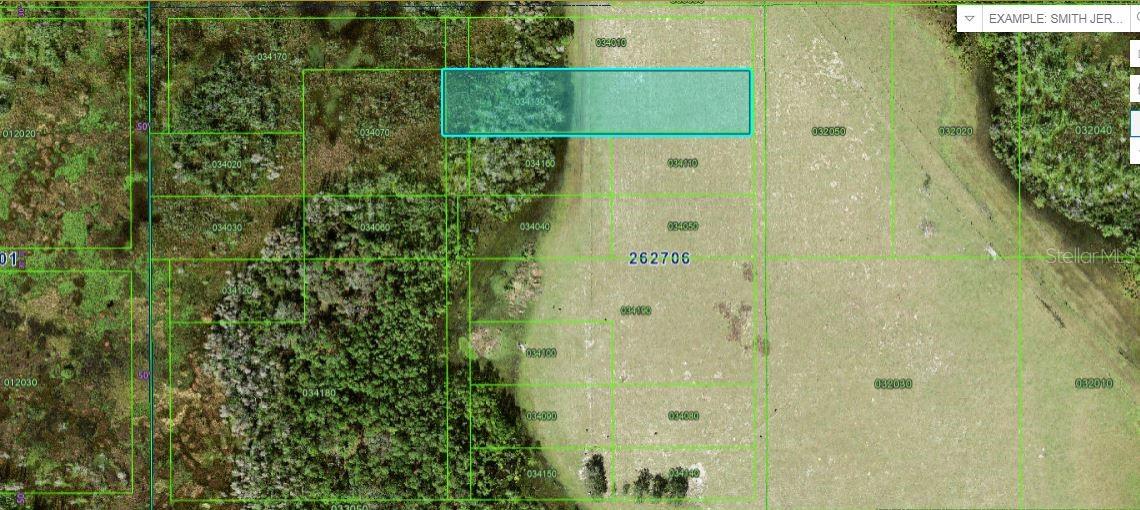 Old Polk City Rd Property Photo 2