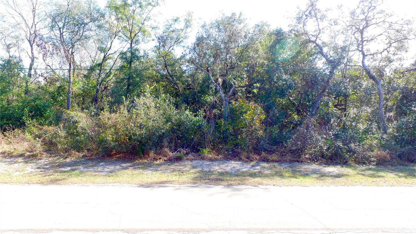 11142 E Sailfish Pl Property Photo 5