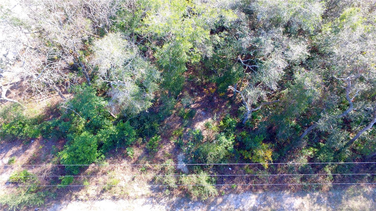 11142 E Sailfish Pl Property Photo 6
