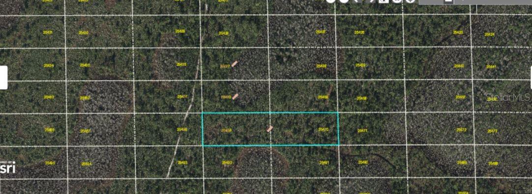 Dill Rd Property Photo 4