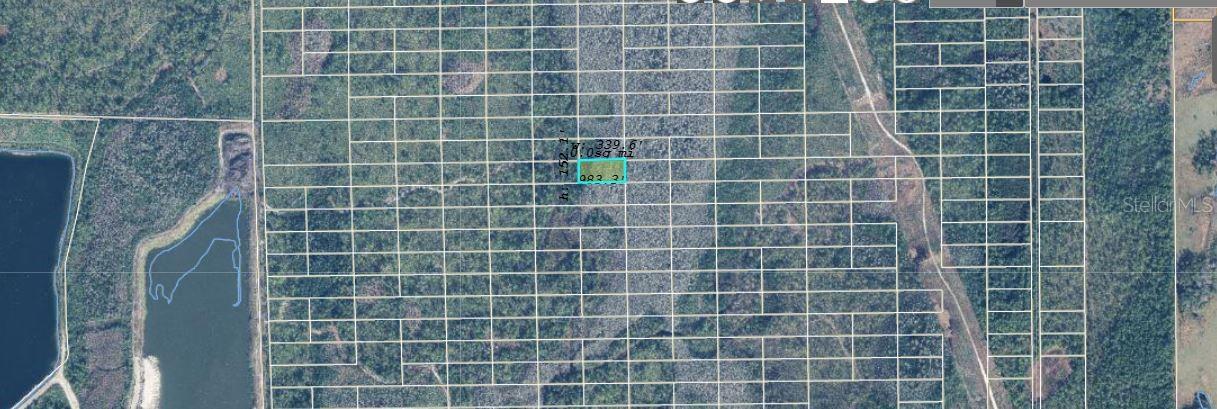 Dill Rd Property Photo 3