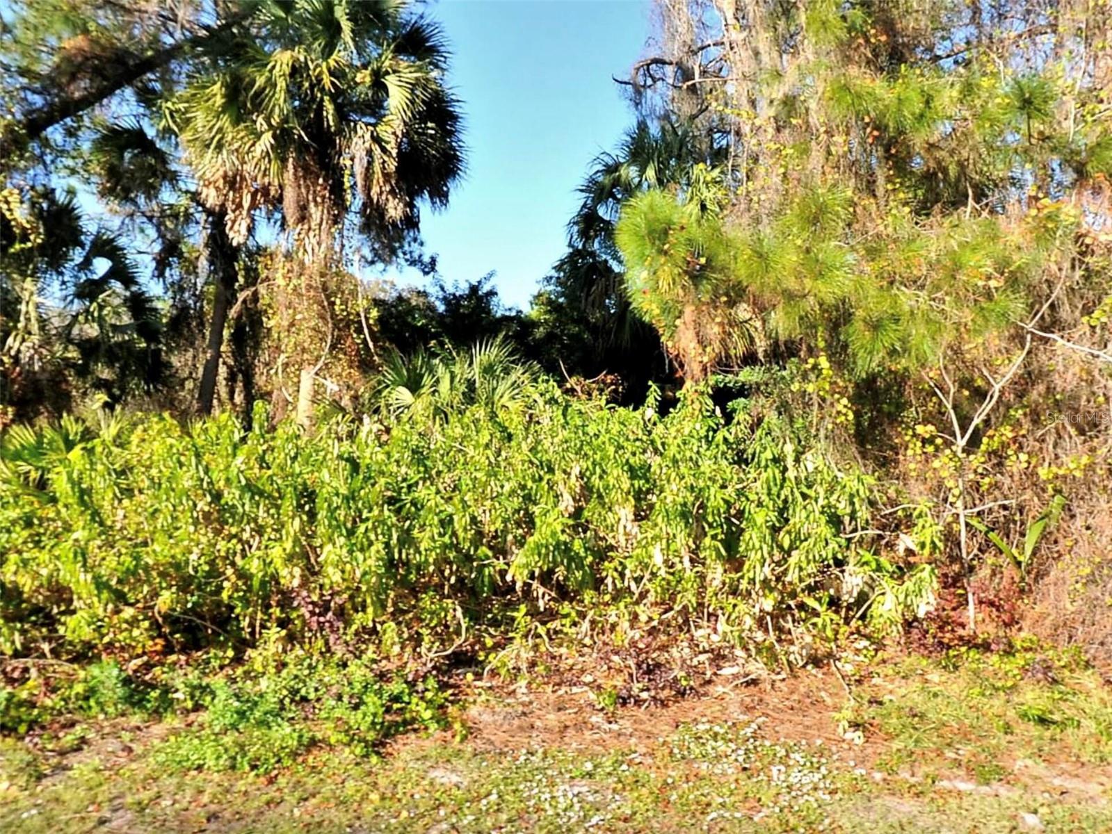 Tusket Ave #lot 19 Property Photo 1