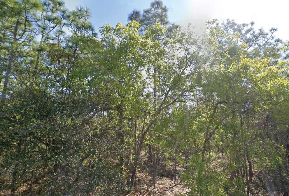 7343 S Ridge Pt Property Photo 1
