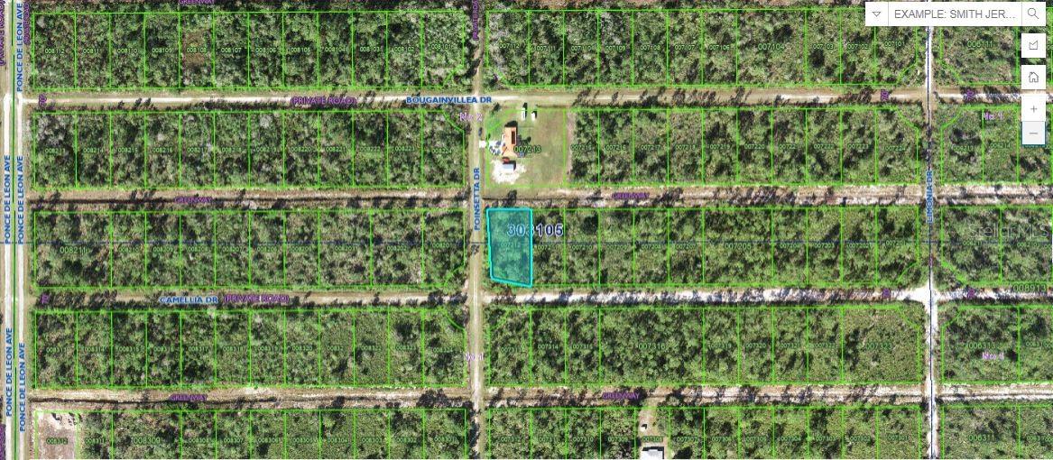 224 CAMELLIA DR Property Photo 1