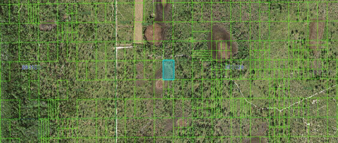 Hwy 60 E Property Photo 4