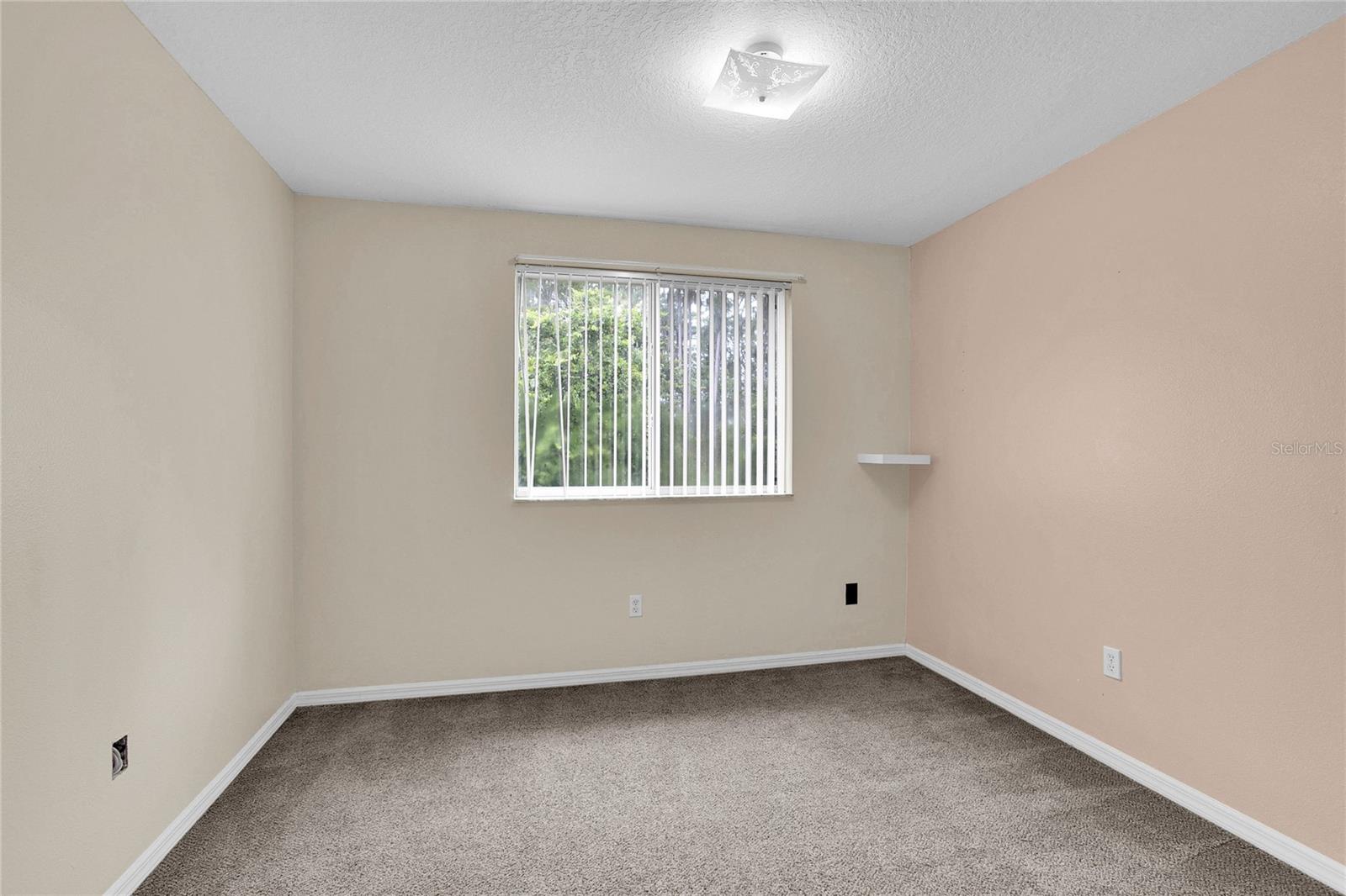 2918 Fan Palm Dr #main Property Photo 9