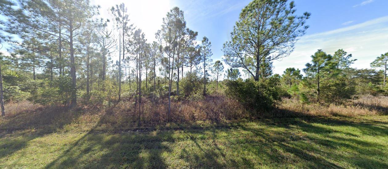 411 Allamanda Dr Property Photo 2