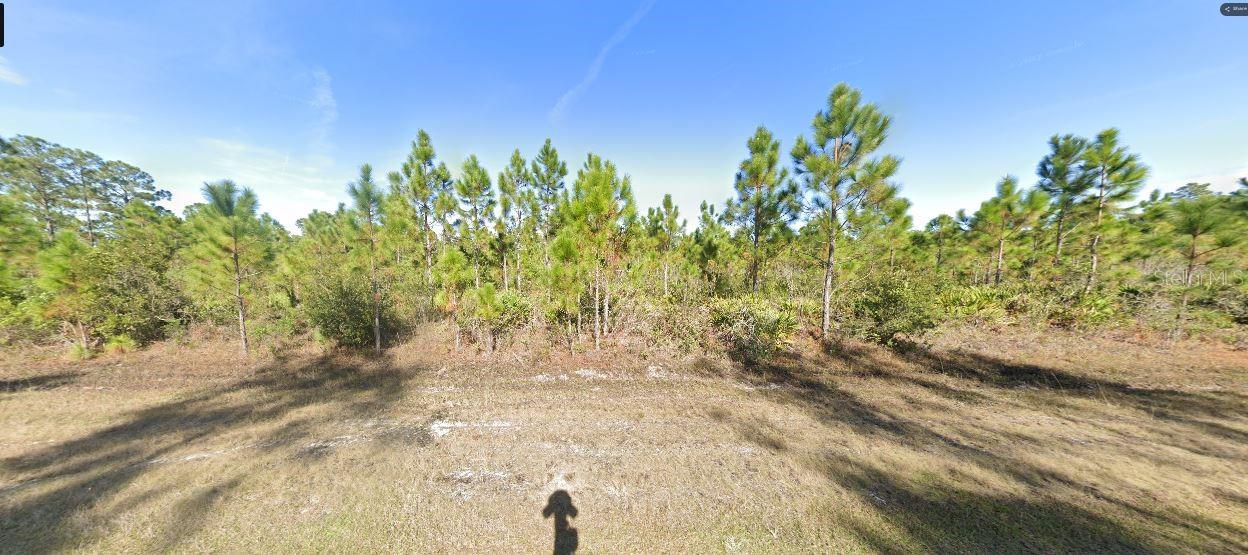 Calendula Dr Property Photo 2