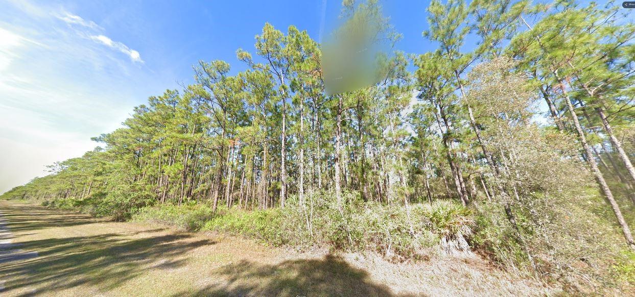 Belmonte Dr Property Photo 2