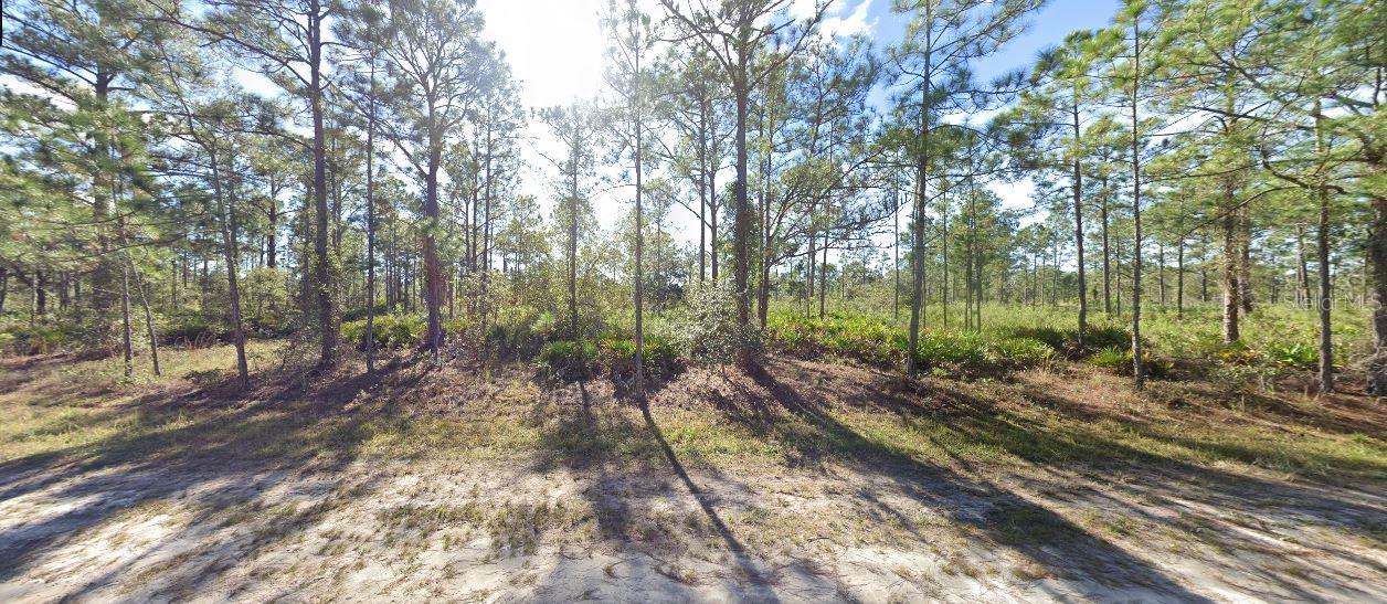 703 Alba Dr Property Photo 2