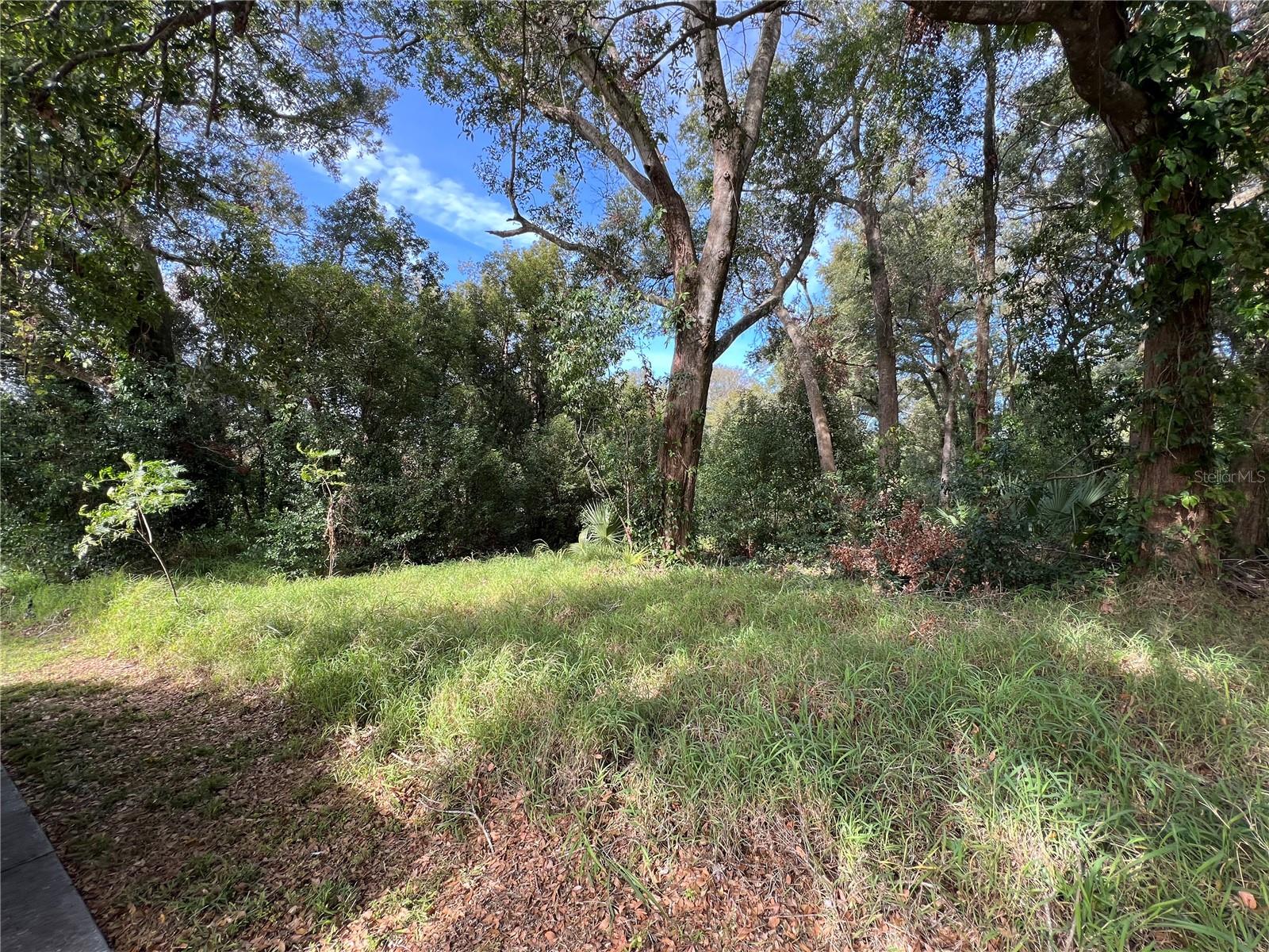 875 OCOEE APOPKA RD