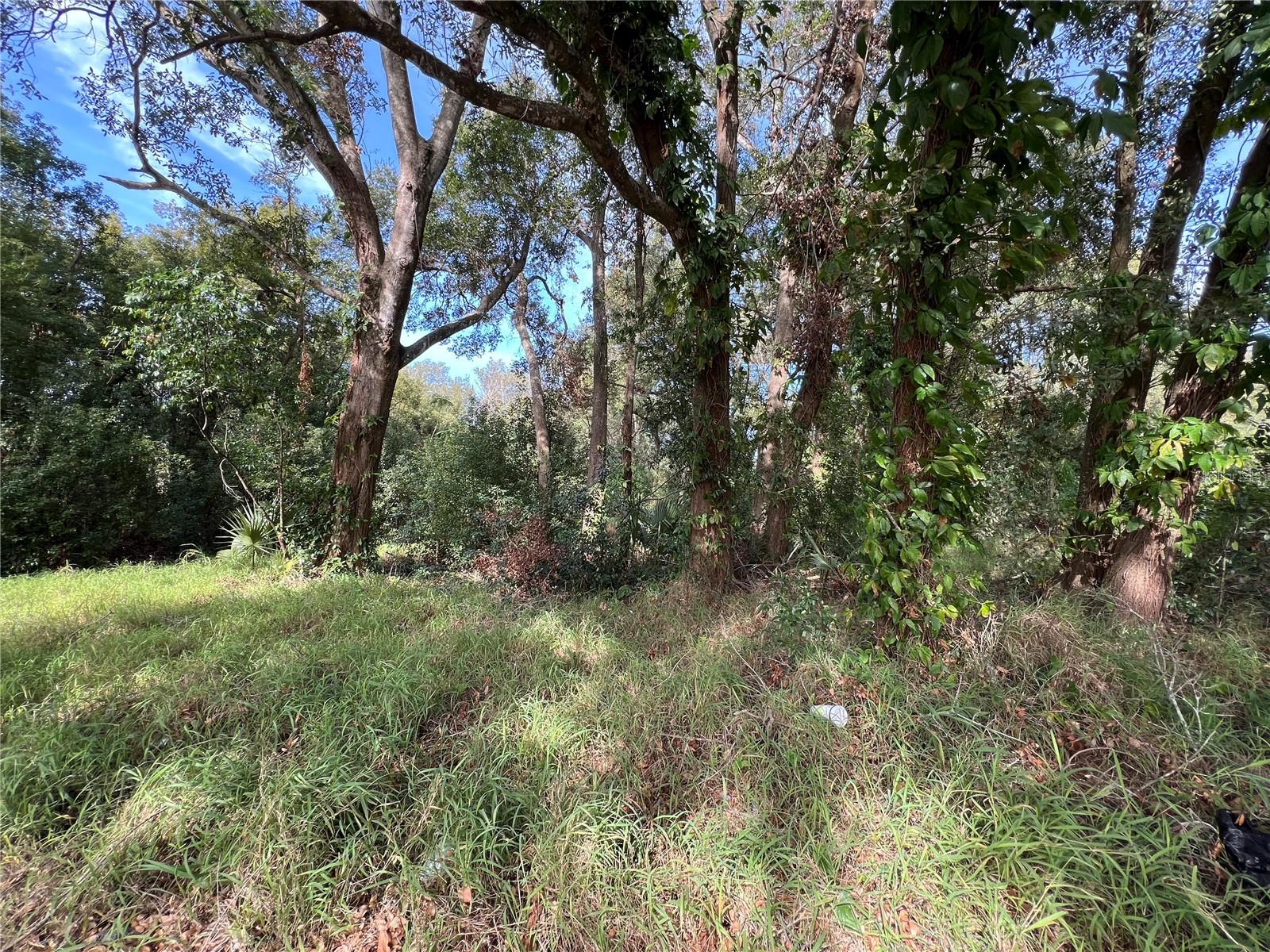 875 Ocoee Apopka Rd Property Photo 3