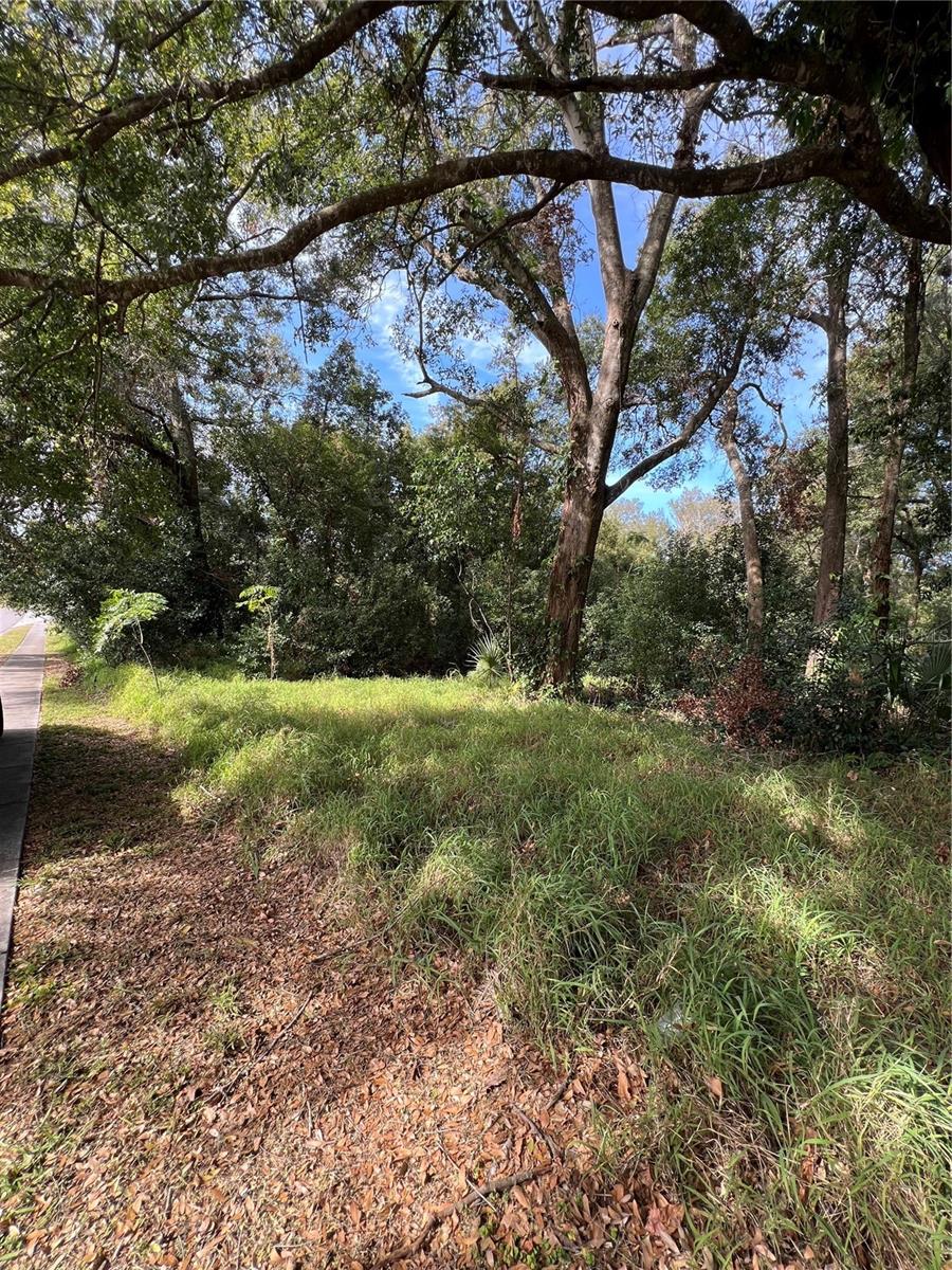 875 Ocoee Apopka Rd Property Photo 4