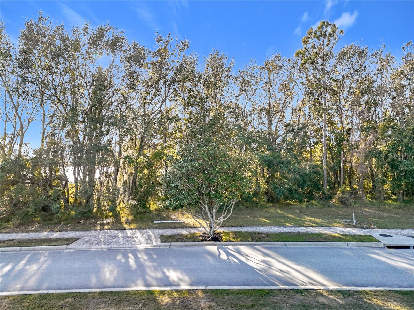 15437 Pendio Dr Property Photo 29