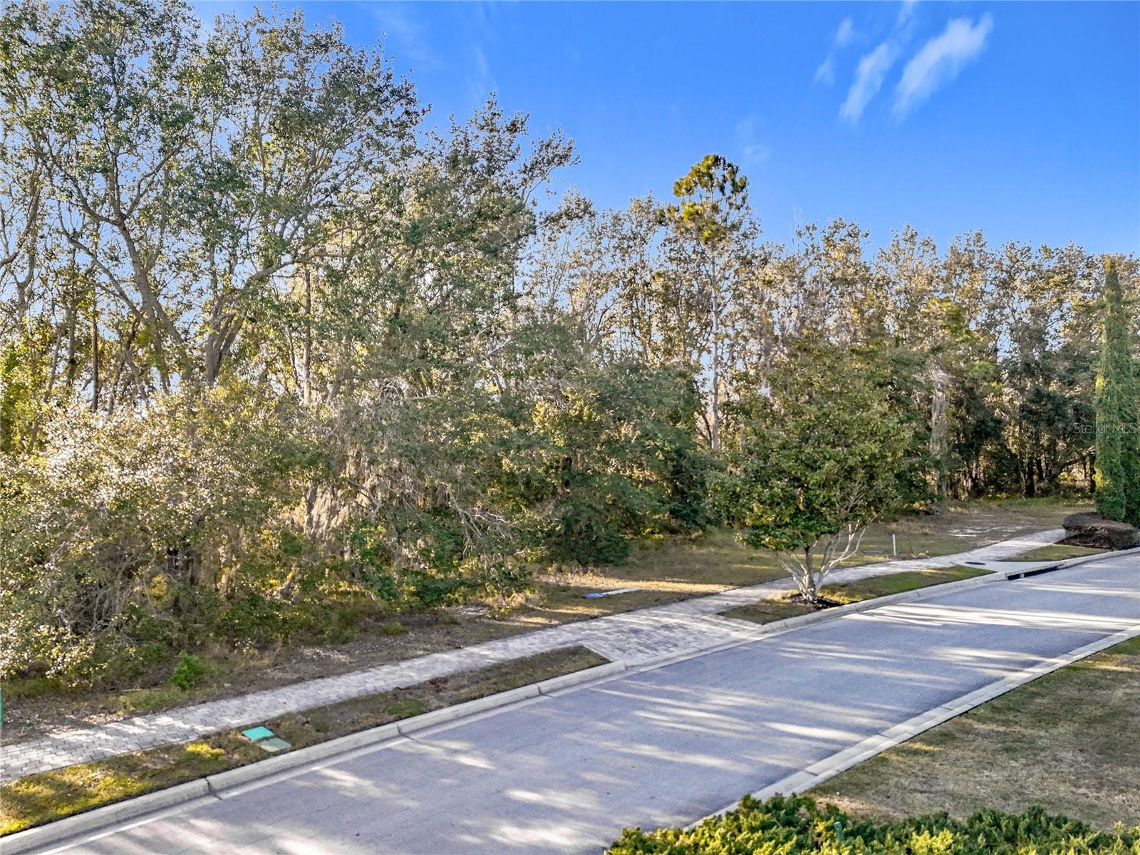 15437 Pendio Dr Property Photo 33