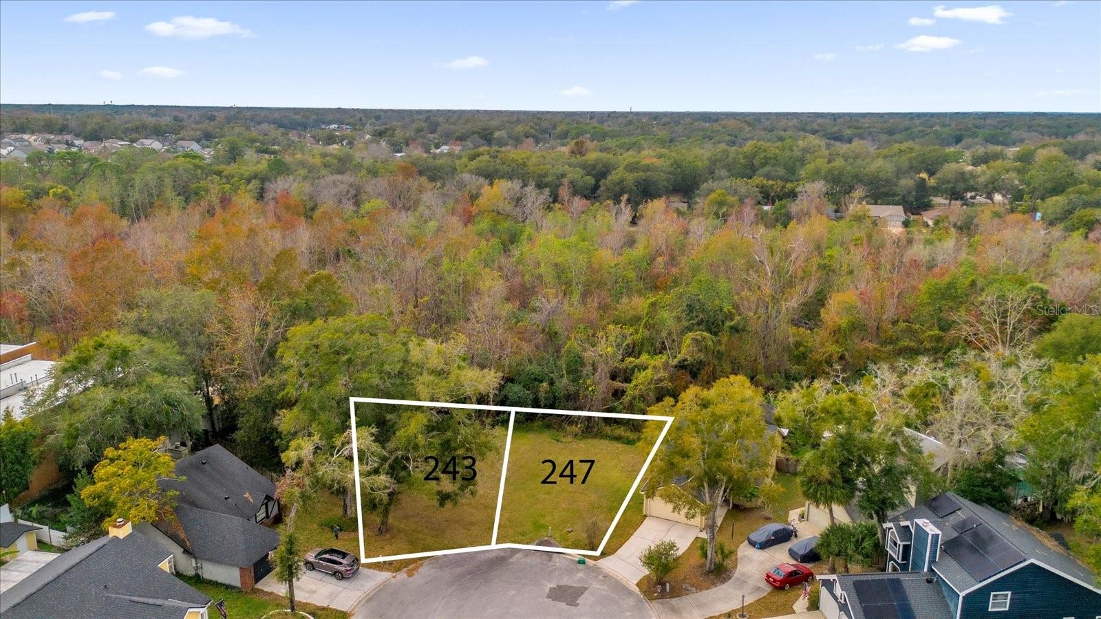 247 Blackwater Pl Property Photo 3