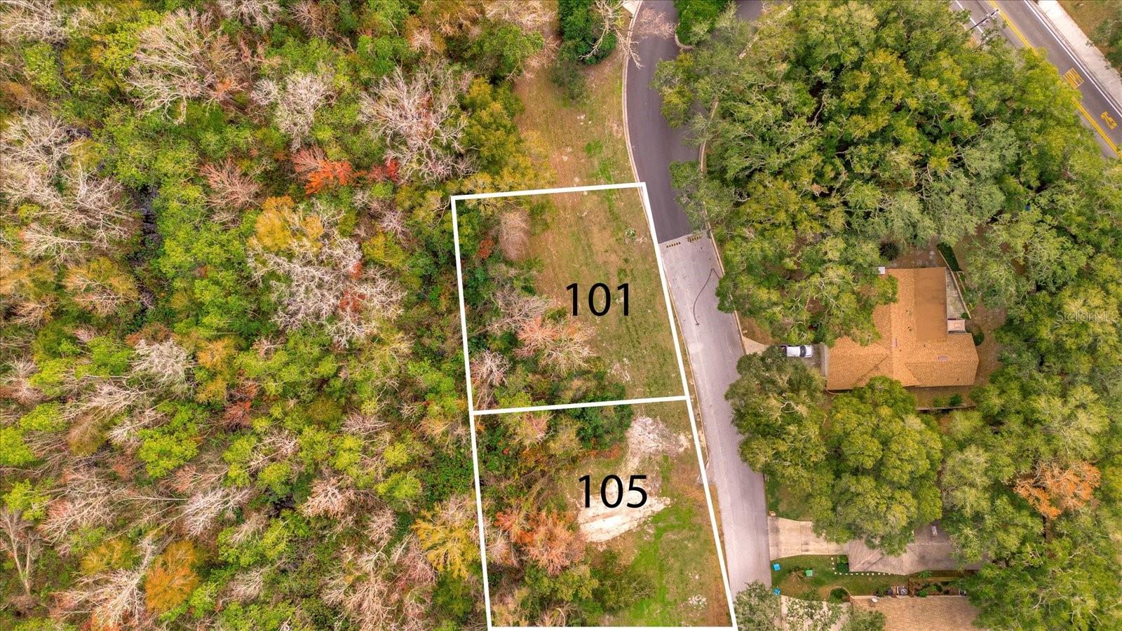 101 Citrus Tree Ln Property Photo 7