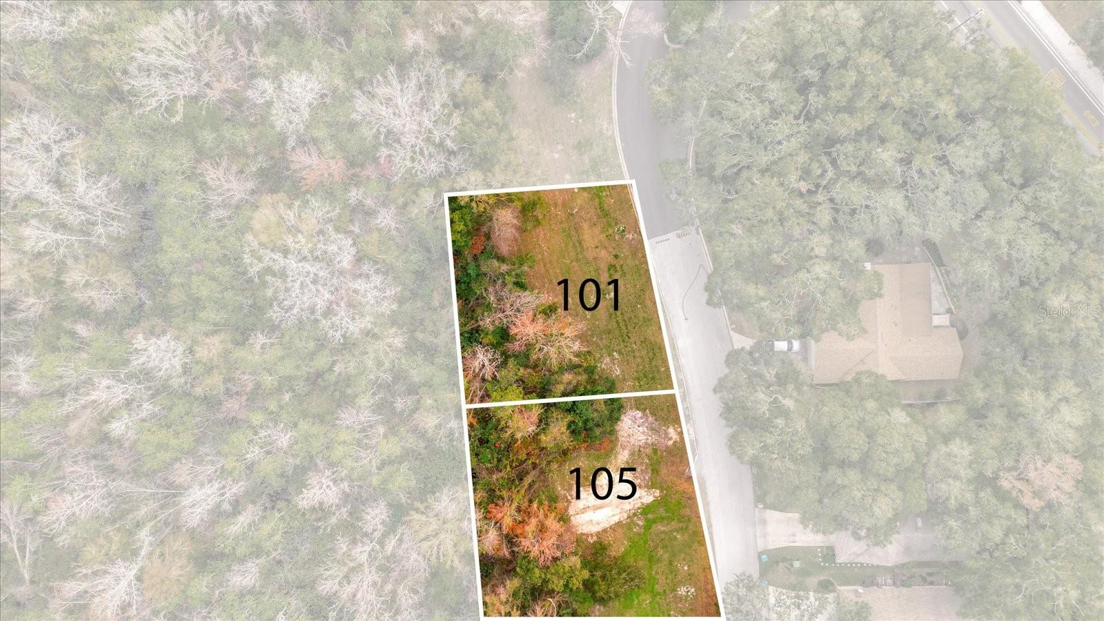 101 Citrus Tree Ln Property Photo 16