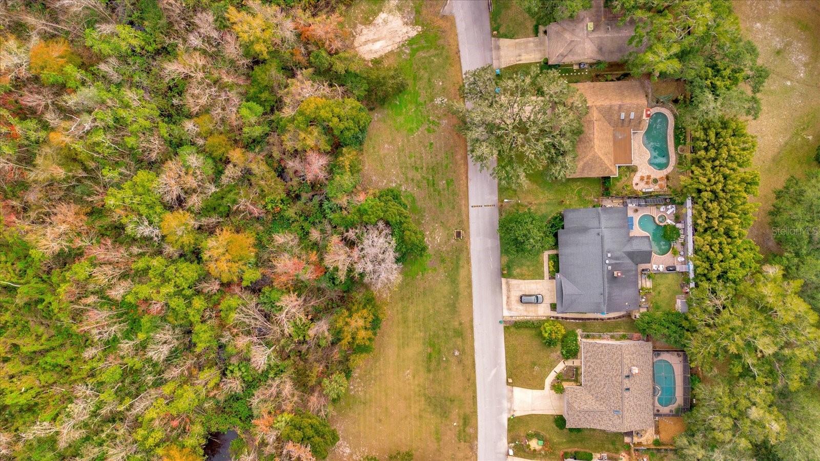 109 Citrus Tree Ln Property Photo 7
